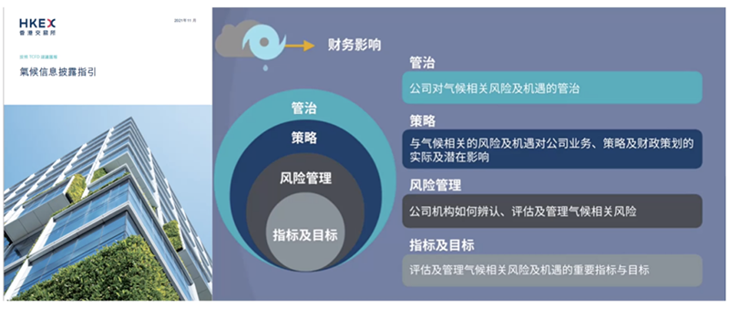 图片8